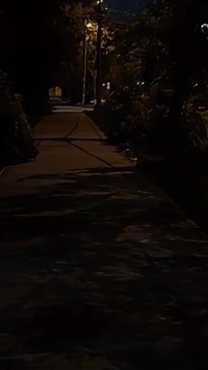 TikTok video thumbnail by no_music81