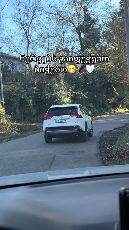 TikTok video thumbnail by lion_auto_geo