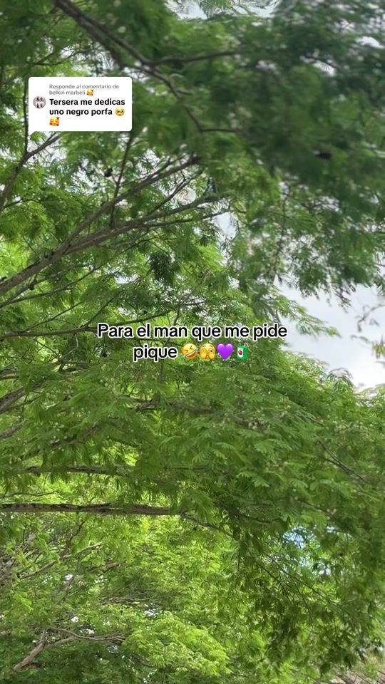 TikTok video thumbnail by elnegrobikers0703oficial