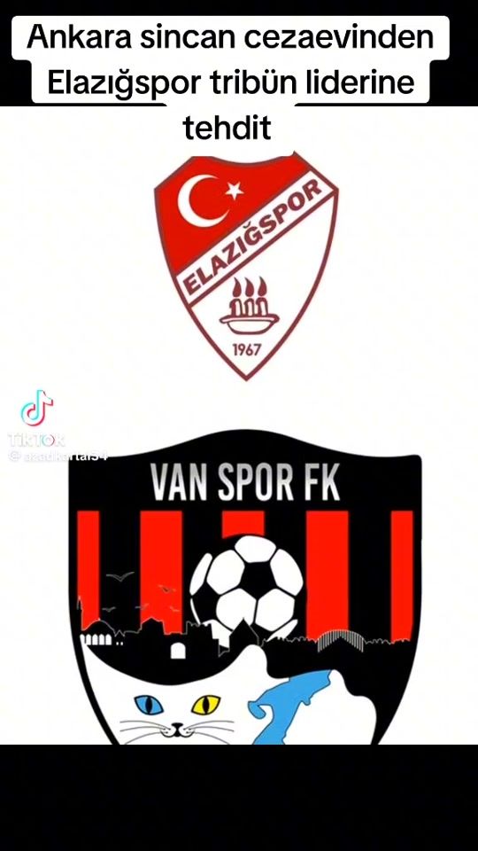 TikTok video thumbnail by cumali65van