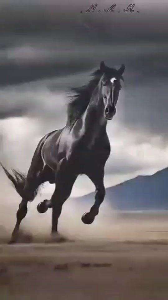 TikTok video thumbnail by ortegamendosita95