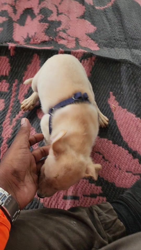 TikTok video thumbnail by jayeshsharma279