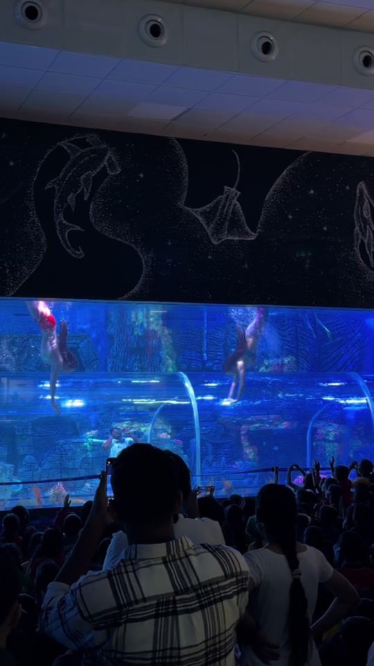 TikTok video thumbnail by chenhsi.lu