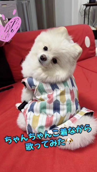 TikTok video thumbnail by gm1103838