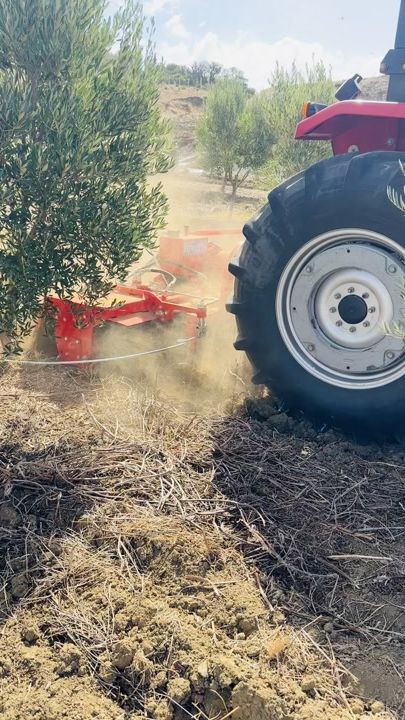 TikTok video thumbnail by agrovita.maroc
