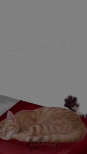 TikTok video thumbnail by vannaytx