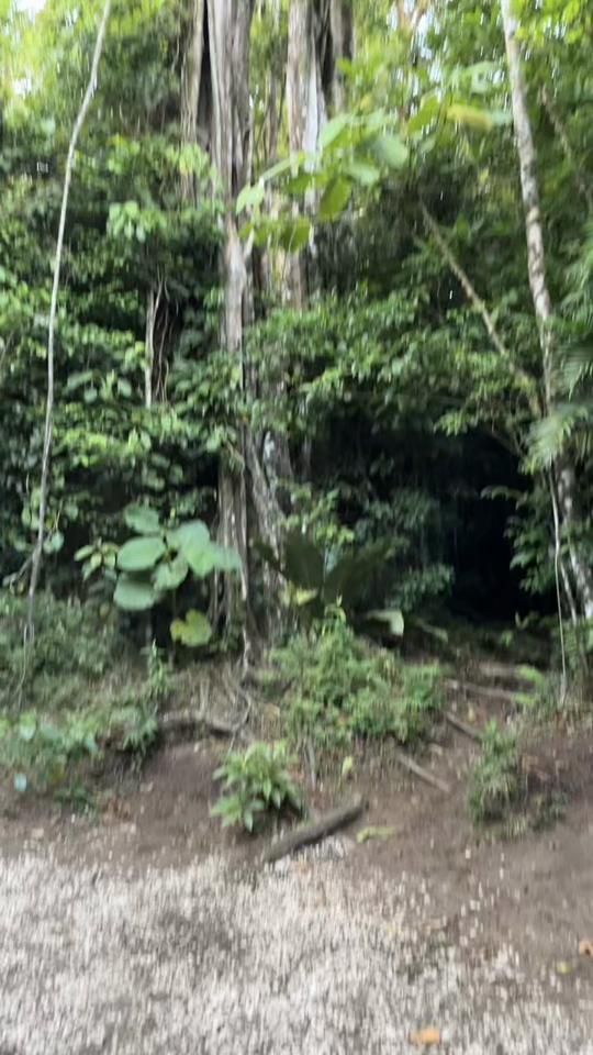 TikTok video thumbnail by estelamvd