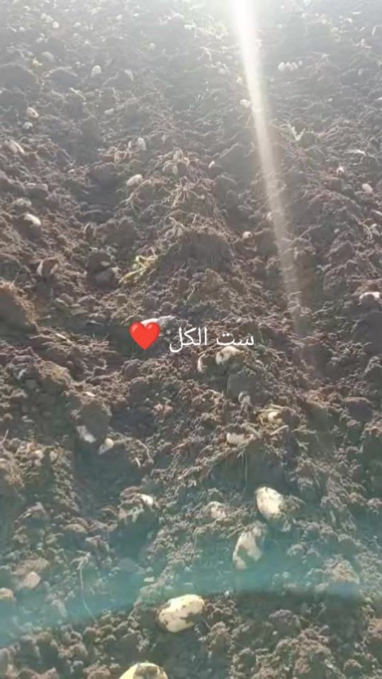 TikTok video thumbnail by omkhaled_14