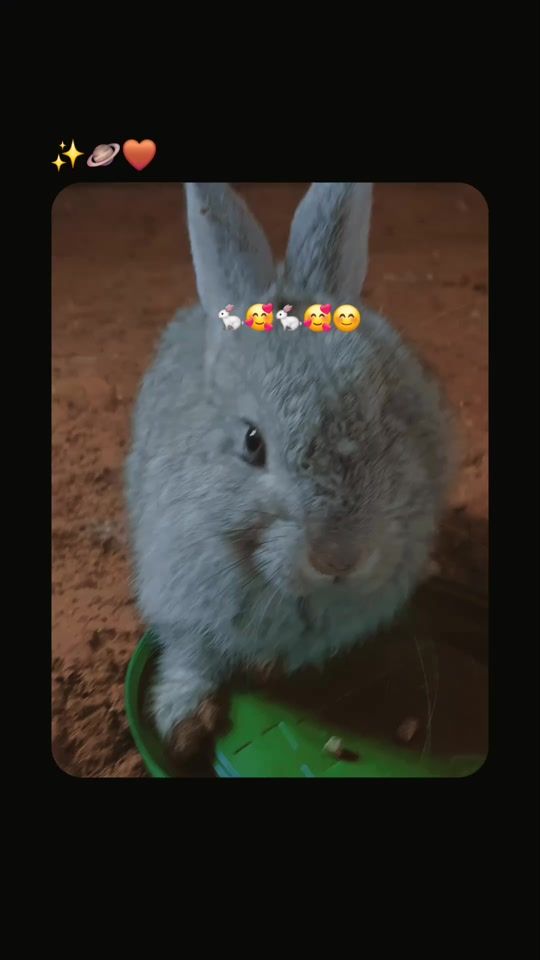 TikTok video thumbnail by sofiaayu11