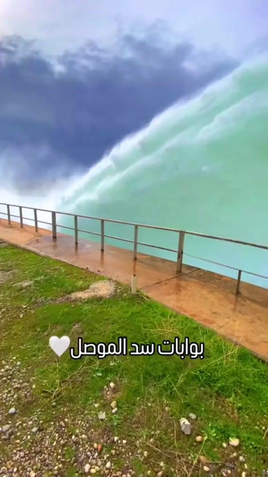 TikTok video thumbnail by r82il