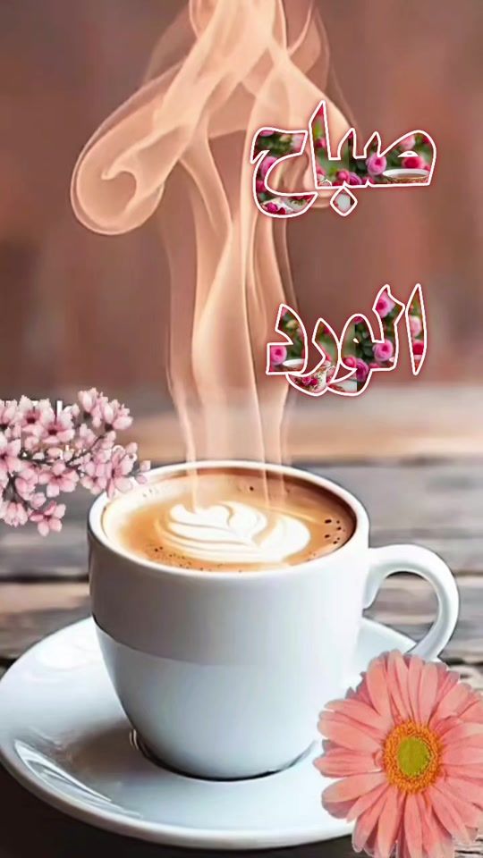 TikTok video thumbnail by raqia_44