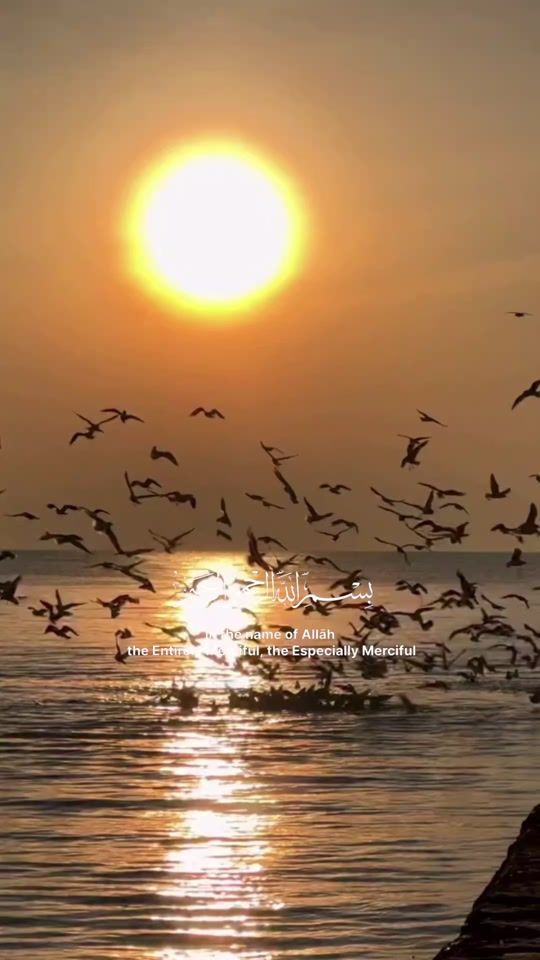 TikTok video thumbnail by ghadeer9420