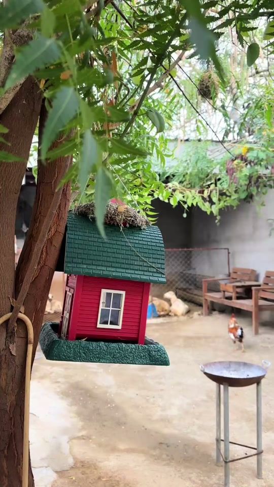 TikTok video thumbnail by munih_22