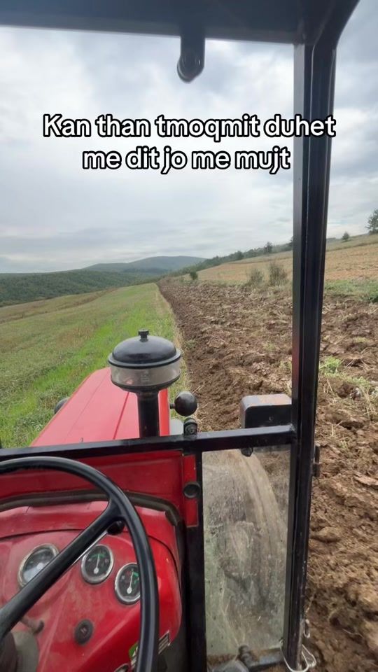 TikTok video thumbnail by mendy.farm