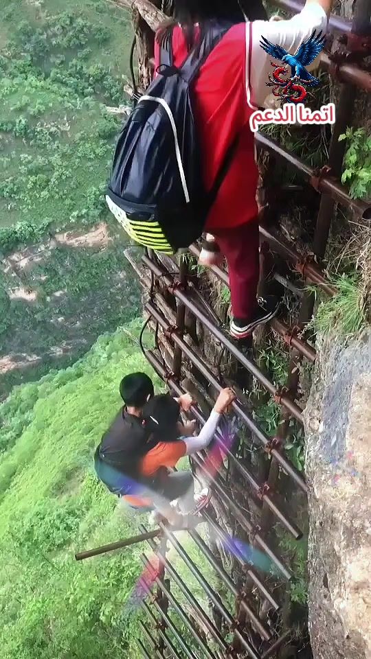 TikTok video thumbnail by wtqi2518