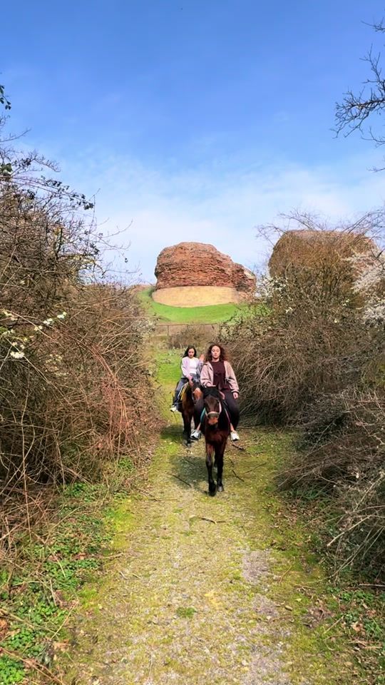 TikTok video thumbnail by horseriding_villagelife