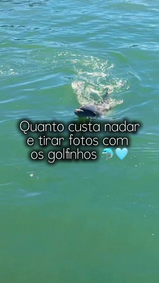 TikTok video thumbnail by duda.cotta1