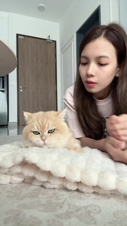 TikTok video thumbnail by two_sided8