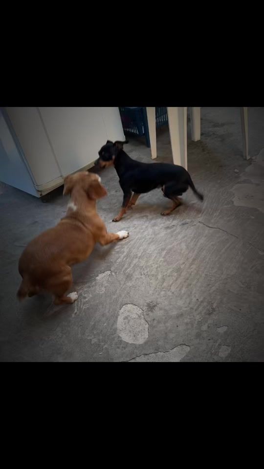 TikTok video thumbnail by daicol43