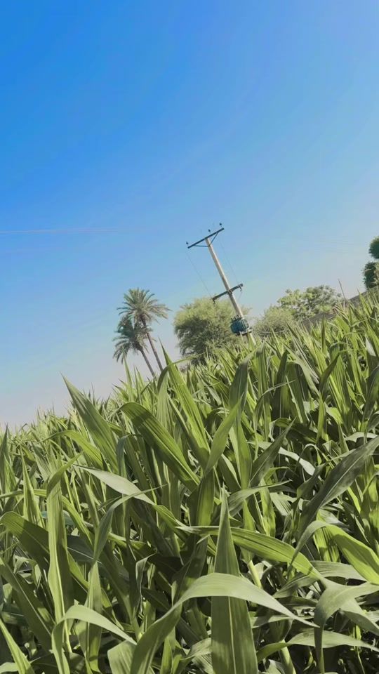 TikTok video thumbnail by ranicute483