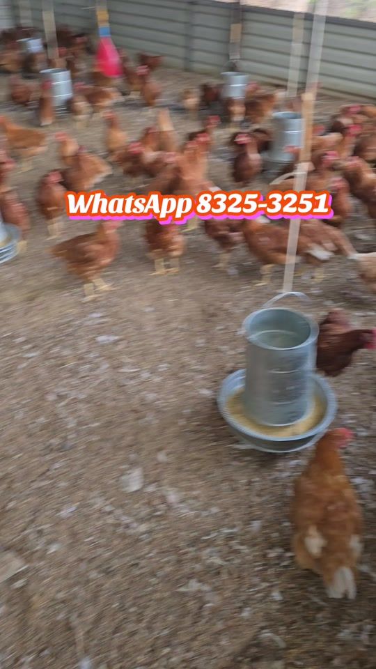 TikTok video thumbnail by harryacz