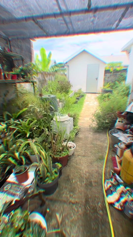 TikTok video thumbnail by rglabricole