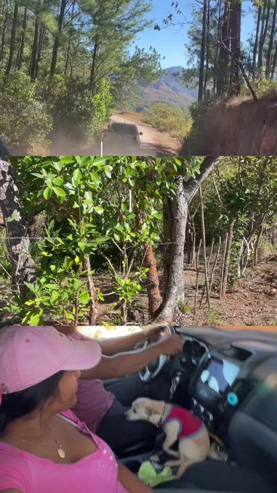 TikTok video thumbnail by monicarachell10