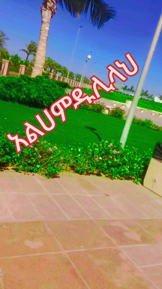 TikTok video thumbnail by seidborena175