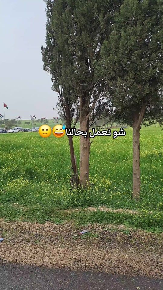 TikTok video thumbnail by rafeef265