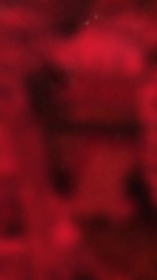 TikTok video thumbnail by novaera.produtora