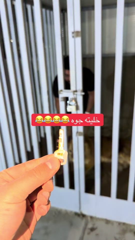 TikTok video thumbnail by 833m