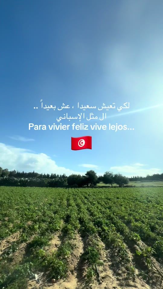 TikTok video thumbnail by golden.pantherness