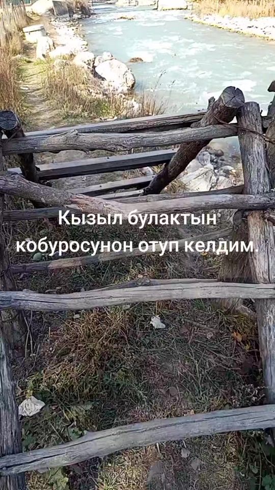 TikTok video thumbnail by erkeaiym013