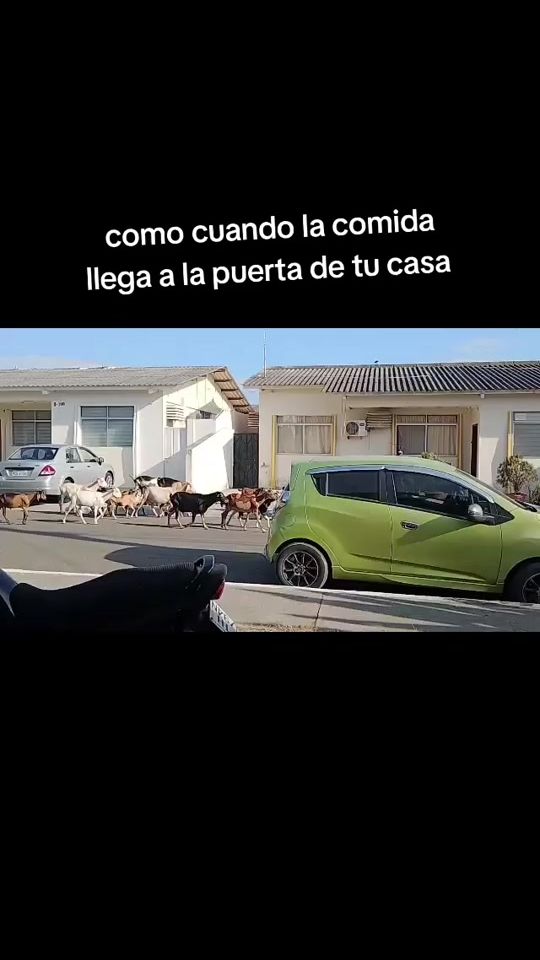TikTok video thumbnail by marino_o8