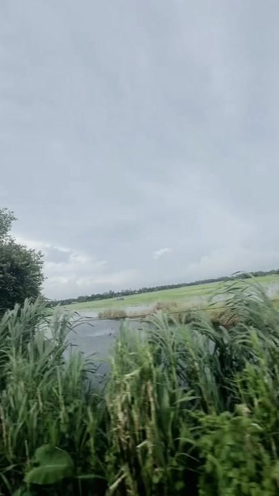TikTok video thumbnail by ariyanmd87