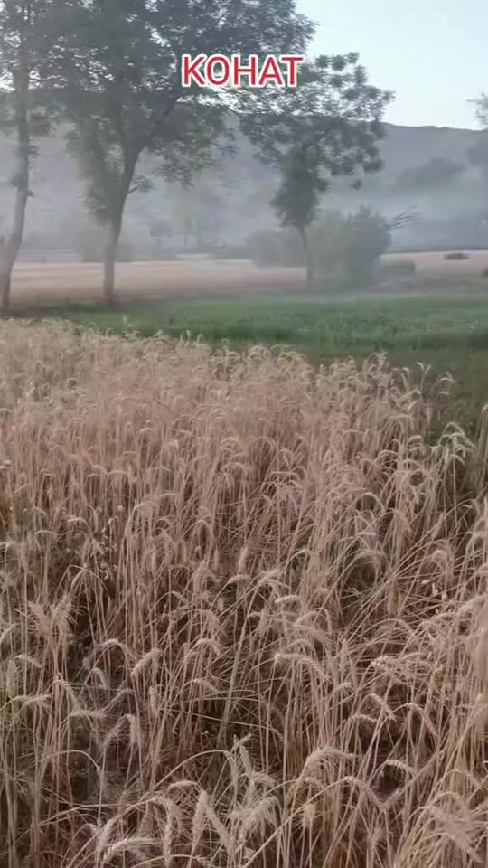 TikTok video thumbnail by razmuhammad3770
