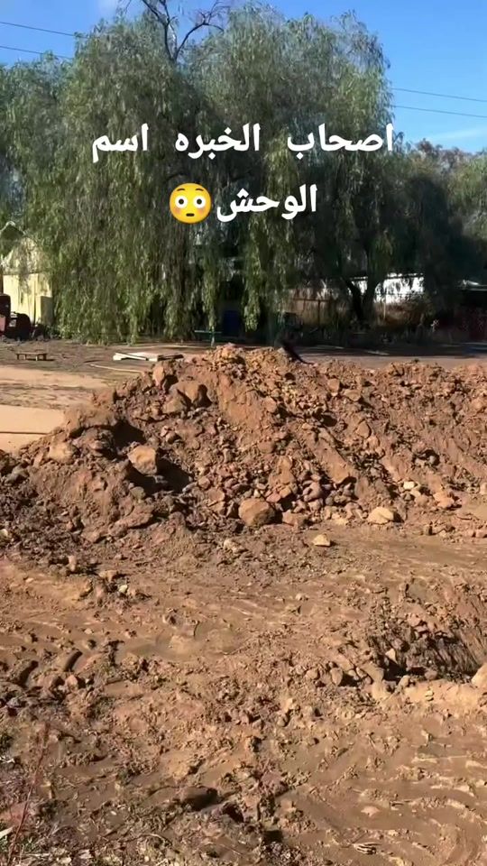 TikTok video thumbnail by moslim62
