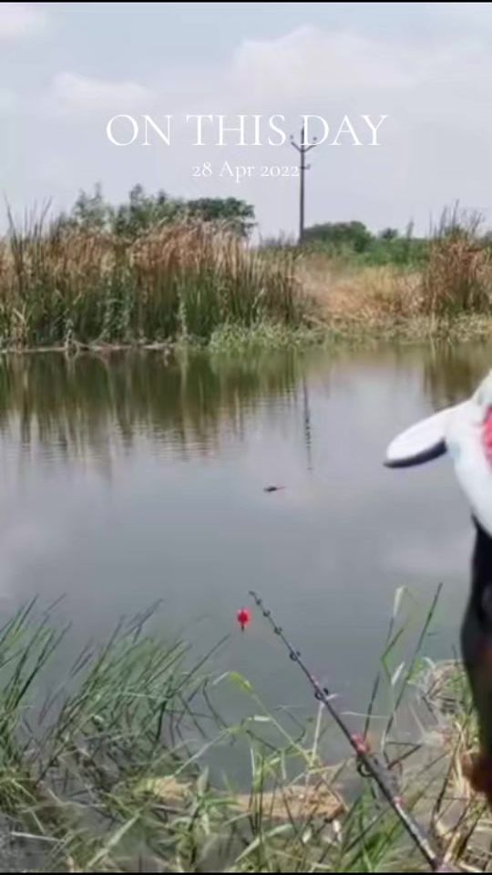 TikTok video thumbnail by fishingteeps
