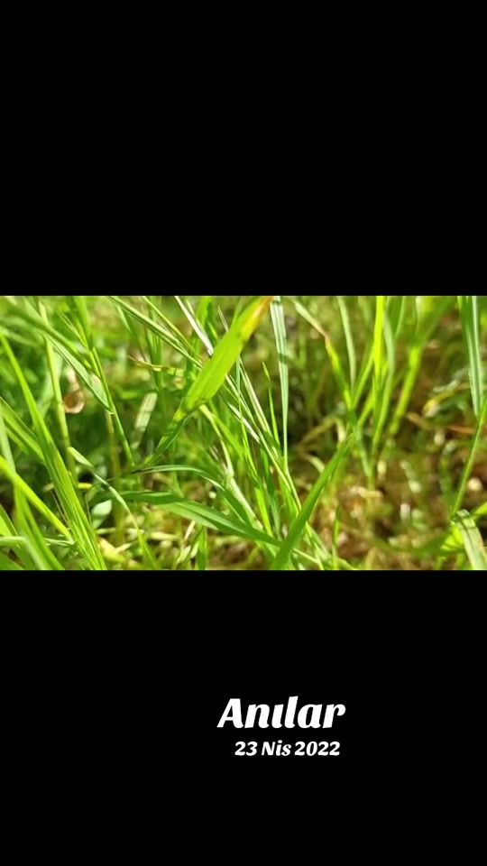 TikTok video thumbnail by makeup_fidan