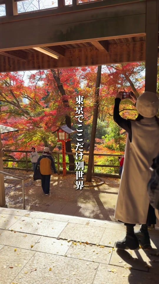 TikTok video thumbnail by gensen_gurume