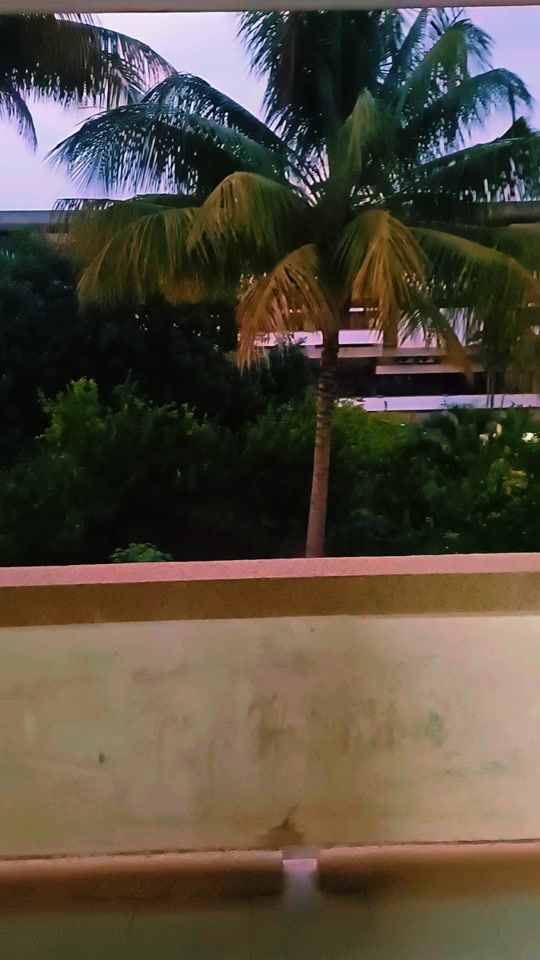 TikTok video thumbnail by ismael.trigo.mc