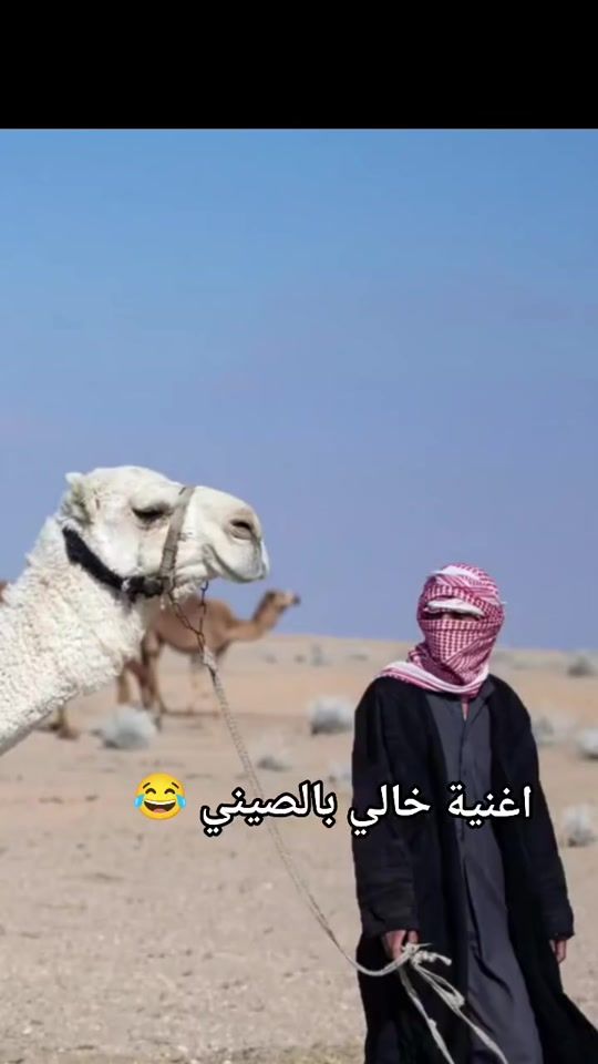 TikTok video thumbnail by hamedsami64