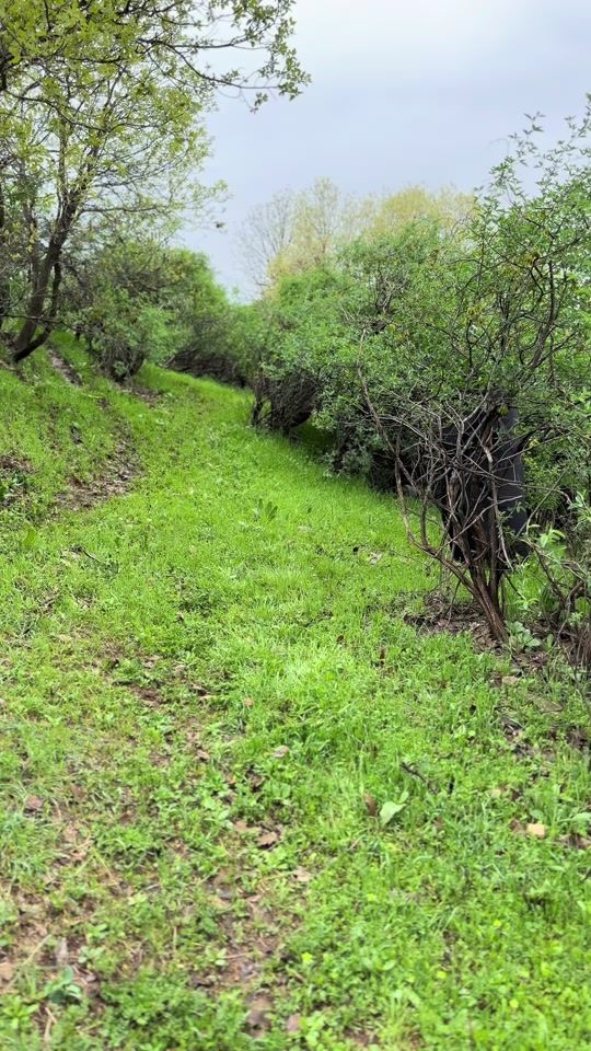TikTok video thumbnail by rsool.3131