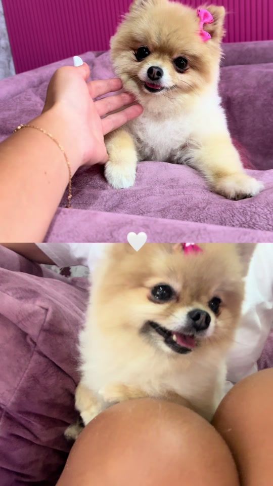 TikTok video thumbnail by ulya__aliyeva