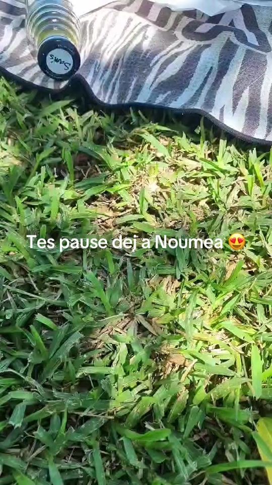 TikTok video thumbnail by sidnaran