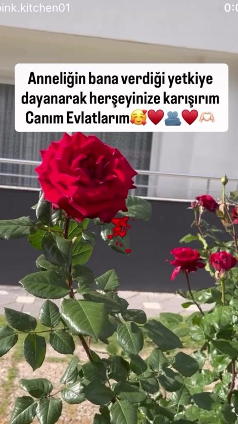 TikTok video thumbnail by cannmemo2362