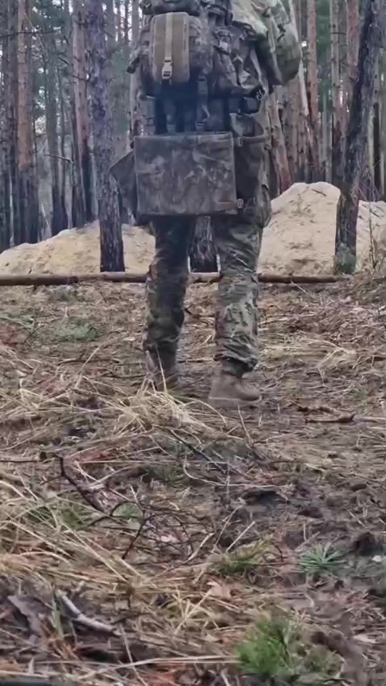 TikTok video thumbnail by el.guero.palma4