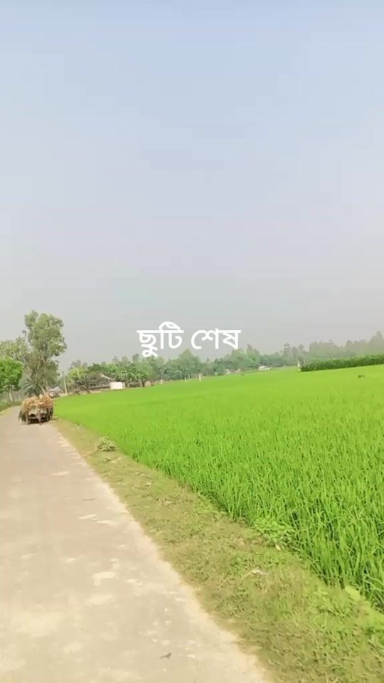 TikTok video thumbnail by 143riya_moni