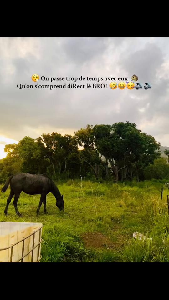 TikTok video thumbnail by bjah.nayk
