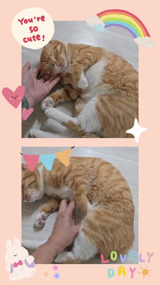 TikTok video thumbnail by kae1986_